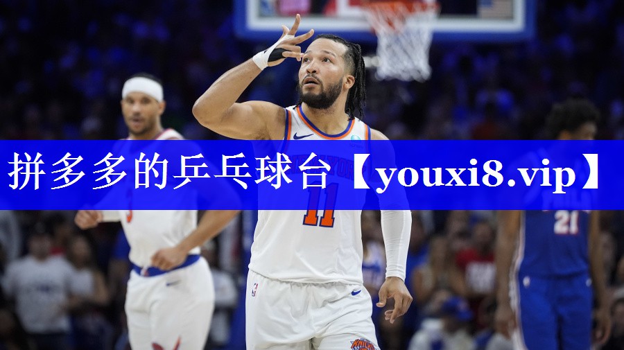 拼多多的乒乓球台 拼多多的乒乓球台