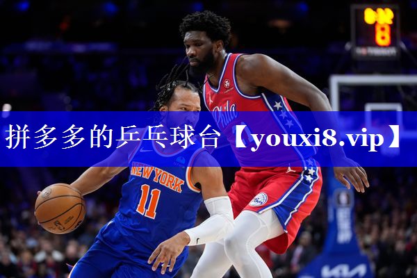 拼多多的乒乓球台 拼多多的乒乓球台